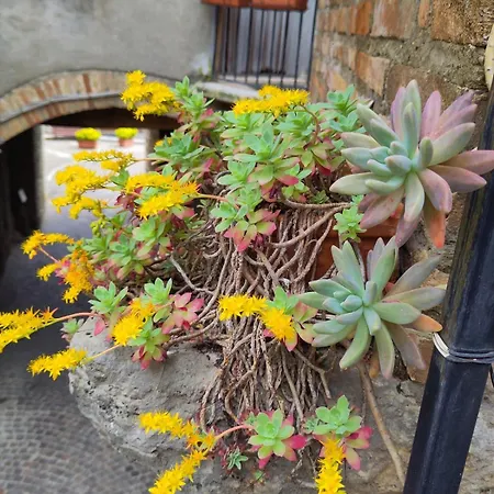 Traditional In Heart Of Medieval Village Appartement Montecchio (Terni)